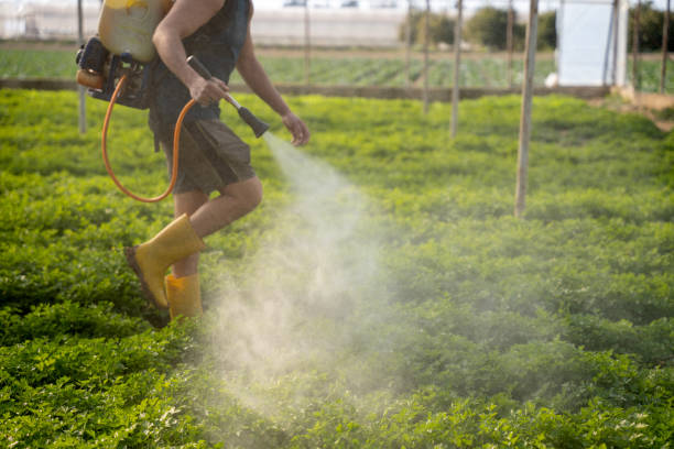 Best Pest Control for Businesses  in Bakerstown, PA