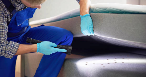 Wasp Removal Services in Bakerstown, PA