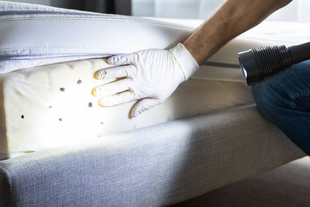 Best Wildlife Control Services  in Bakerstown, PA