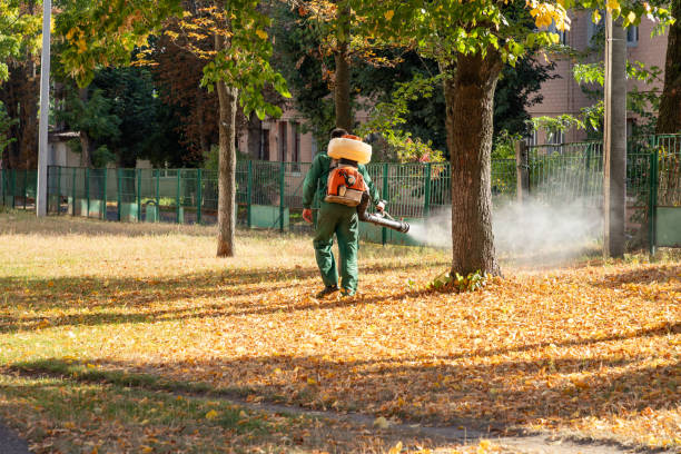 Best Residential Pest Control  in Bakerstown, PA