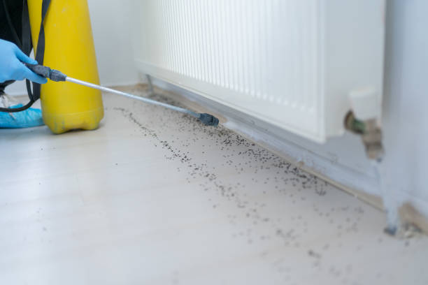 Best Wasp Removal Services  in Bakerstown, PA