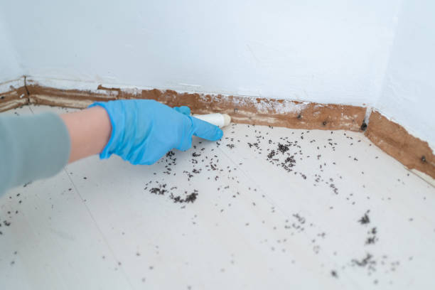 Best Pest Control for Restaurants  in Bakerstown, PA