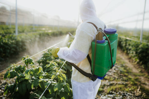 Best Exterminator Services  in Bakerstown, PA